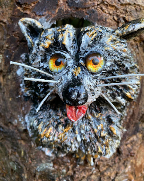 Funny%20racoon%201.jpg