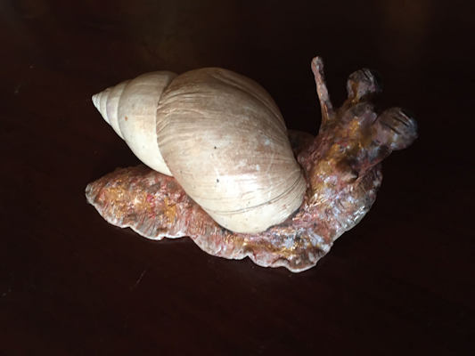 snail_7.jpg
