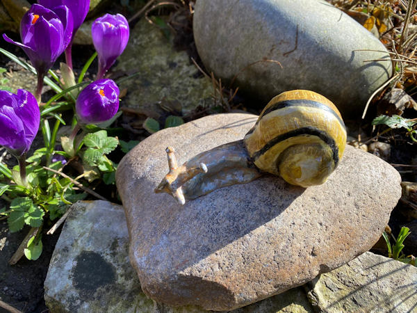 snail_on_stone_3.jpg