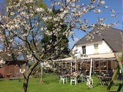 theetuin_de_winkel_cothen_creatieve_workshops.jpg