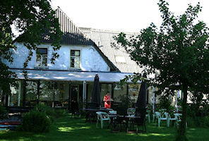 workshop_theetuin_4.jpg